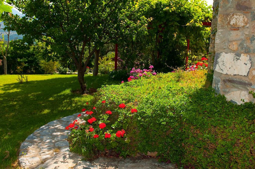 Elise Cottage Vathy Zimmer foto